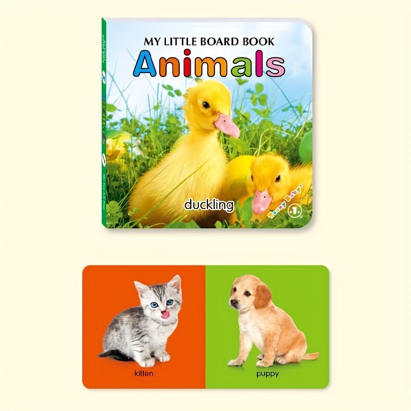Buntes, gemustertes Kartenbuch – Board Game Book Bewertung und Preis